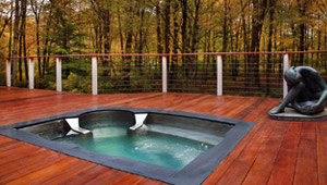 Stainless Steel Spas & Hot Tubs