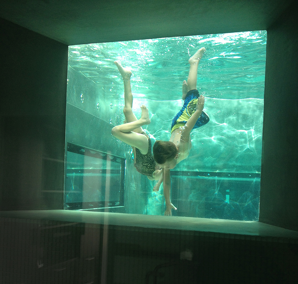 Custom Stainless Steel Swimming Pool with 3 Acrylic Panels for Viewing the Interior of the Pool from Inside the Home, LED Lighting, Entry Stairway, Built in Seating, Back Fire Wall Feature, Water Wall Feature and Automatic Safety Cover 180