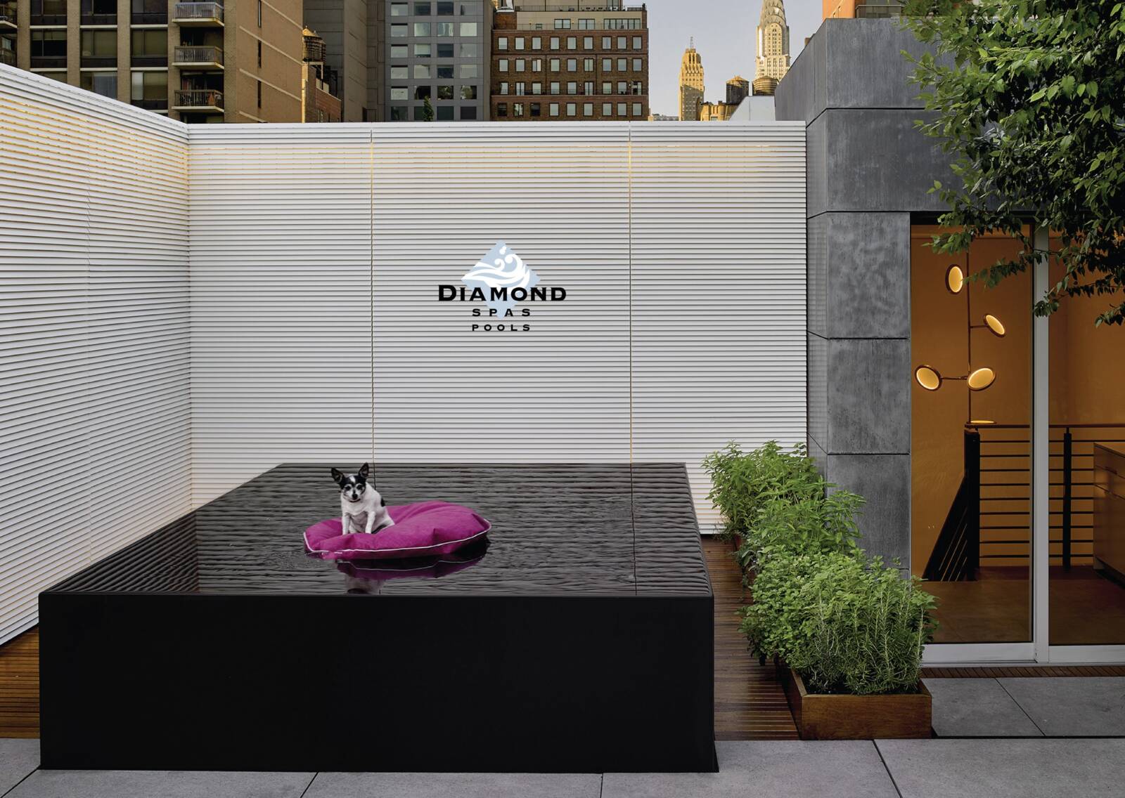 Designing Man’s Best Friend’s Perfect Spa